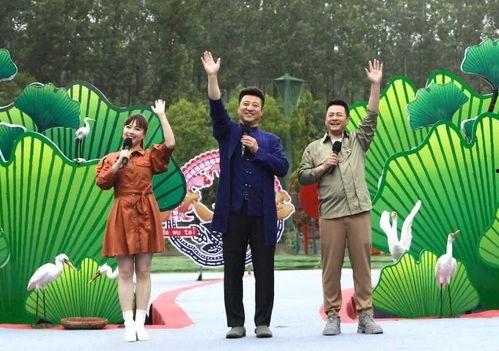 老庄直播爆料最新消息视频,最新消息视频深度解析